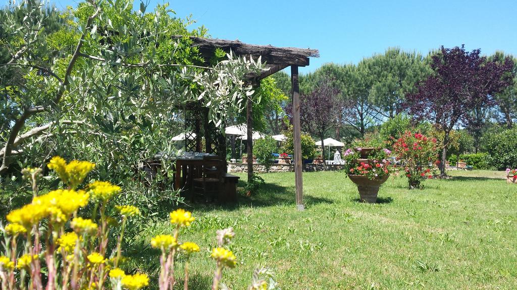 Agriturismo Il Catrino Ponteginori Dış mekan fotoğraf