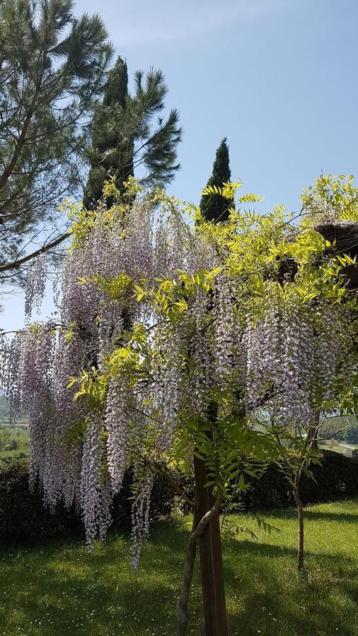 Agriturismo Il Catrino Ponteginori Dış mekan fotoğraf