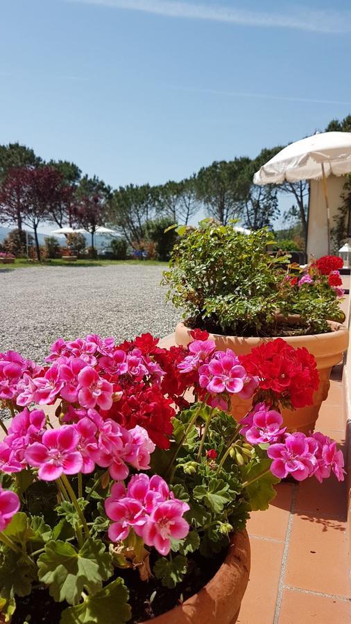 Agriturismo Il Catrino Ponteginori Dış mekan fotoğraf