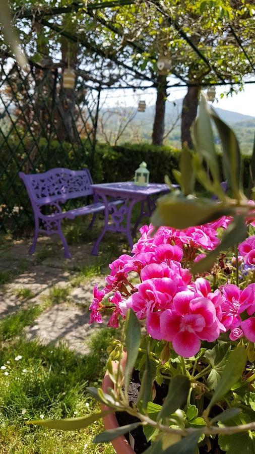 Agriturismo Il Catrino Ponteginori Dış mekan fotoğraf
