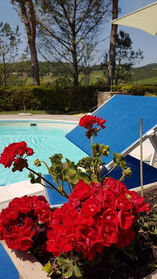 Agriturismo Il Catrino Ponteginori Dış mekan fotoğraf